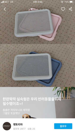 최수진님이 올린 리뷰 사진 2