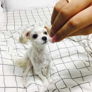 haeri님이 올린 리뷰 사진 2