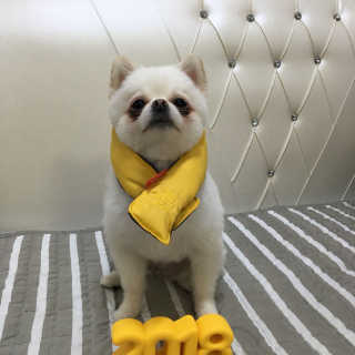 dodo님이 올린 리뷰 사진 2