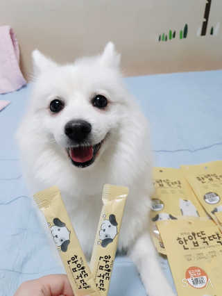 [펫토리아]짜먹는 한입뚝딱 강아지.고양이 마약간식 — 4.5점을 준 리뷰어가 2019년 8월 올린 사용 사진