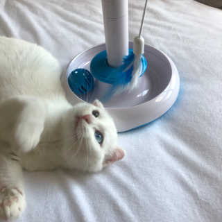 kittyiris님이 올린 리뷰 사진 3