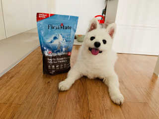 INJI님이 올린 리뷰 사진 1