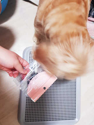 조소민님이 올린 리뷰 사진 3