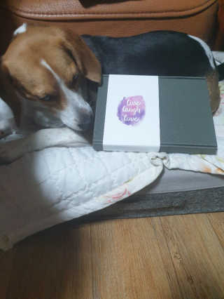 beaglelove님이 올린 리뷰 사진 3