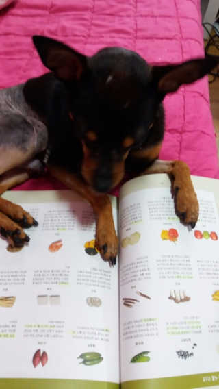sylvia0307님이 올린 리뷰 사진 1