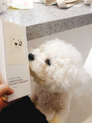 나리니님이 올린 리뷰 사진 1