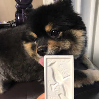 정아님이 올린 리뷰 사진 3