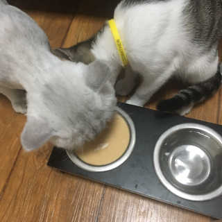 단발소녀님이 올린 리뷰 사진 4