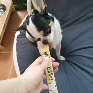 [펫토리아]짜먹는 한입뚝딱 강아지.고양이 마약간식 — 5점을 준 리뷰어가 2019년 8월 올린 사용 사진