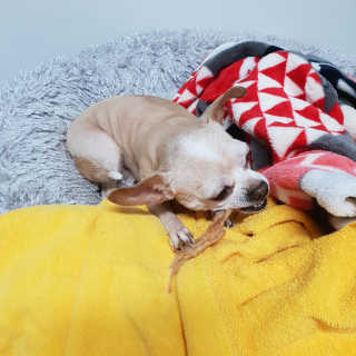 유진오님이 올린 리뷰 사진 3