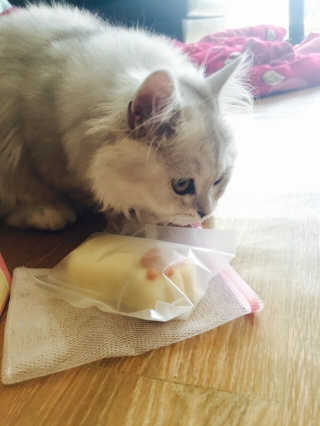 노다희님이 올린 리뷰 사진 1