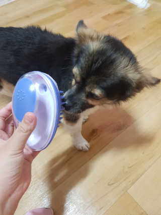 꽃수니어니님이 올린 리뷰 사진 3