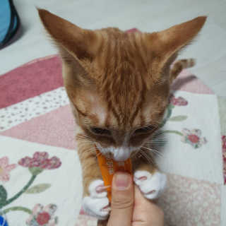 dutxod님이 올린 리뷰 사진 2