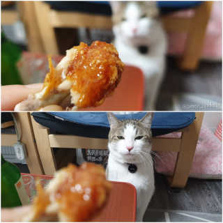 코코민네님이 올린 리뷰 사진 4