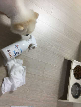 최수지님이 올린 리뷰 사진 3