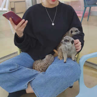 둡보이님이 올린 리뷰 사진 4