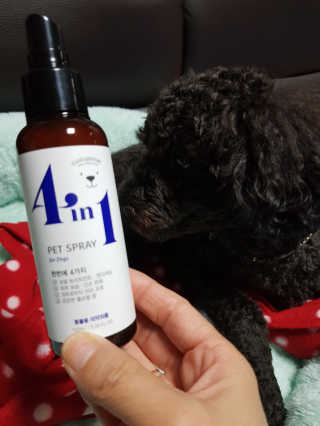 강아지스토리 포인원 모이스처 미스트 100ml — 5점을 준 리뷰어가 2018년 10월 올린 사용 사진