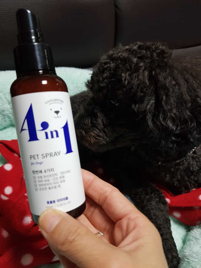 강아지스토리 포인원 모이스처 미스트 100ml 리뷰 사진