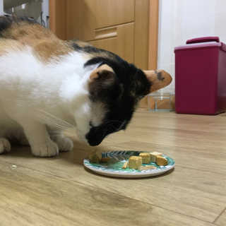 402님이 올린 리뷰 사진 1