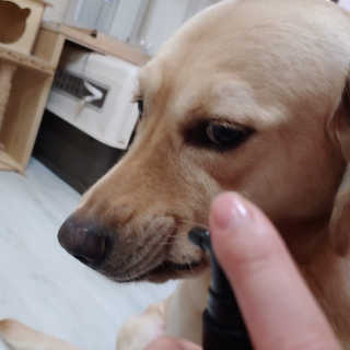 구월댁님이 올린 리뷰 사진 2