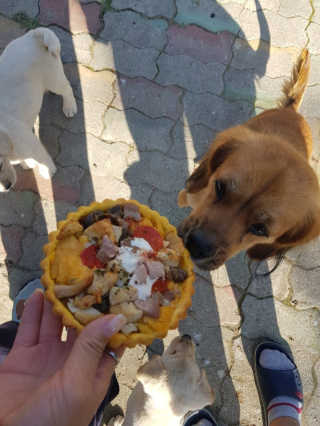 리기님이 올린 리뷰 사진 3