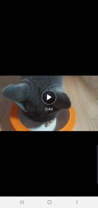 율집사님이 올린 리뷰 사진 3