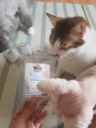 마뇨님이 올린 리뷰 사진 3