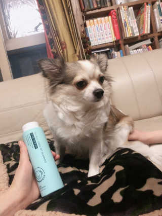 sweetrain님이 올린 리뷰 사진 3