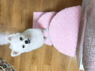 성창현님이 올린 리뷰 사진 1
