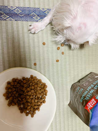 댑빵이님이 올린 리뷰 사진 2