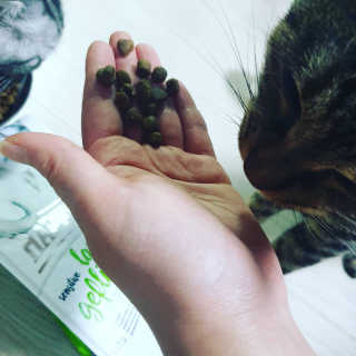 이째님이 올린 리뷰 사진 2