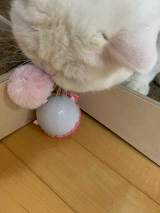 서연님이 올린 리뷰 사진 2