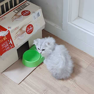 이준영님이 올린 리뷰 사진 3