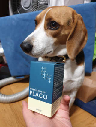 beaglelove님이 올린 리뷰 사진 1