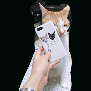 딘이딘이님이 올린 리뷰 사진 3