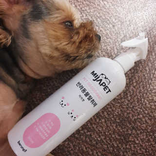 OddistNyong님이 올린 리뷰 사진 1