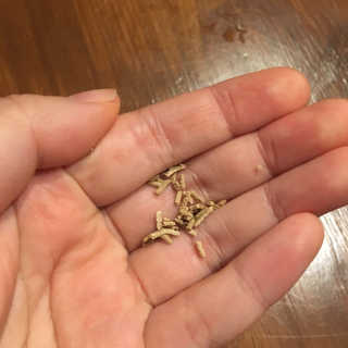 julaa님이 올린 리뷰 사진 3
