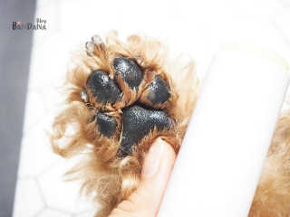 최정임님이 올린 리뷰 사진 1