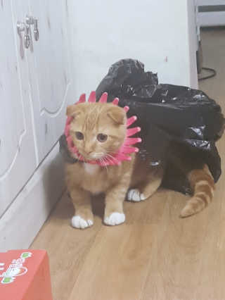 noname님이 올린 리뷰 사진 2