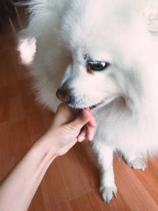 제이님이 올린 리뷰 사진 3