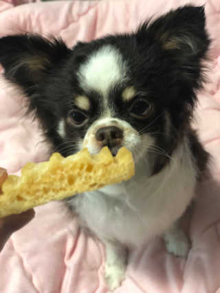 띠띠님이 올린 리뷰 사진 2