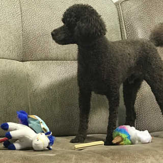 kimy님이 올린 리뷰 사진 2