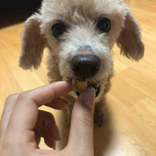 jinlovely님이 올린 리뷰 사진 3