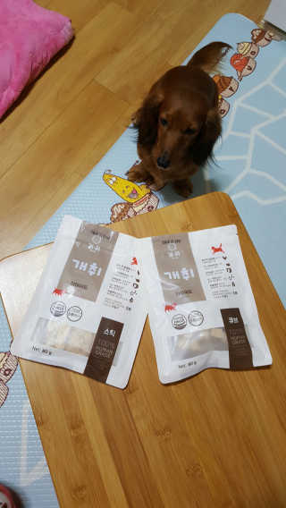 개취 애견간식 닭고기와 아마씨드의 만남 — 5점을 준 리뷰어가 2019년 2월 올린 사용 사진