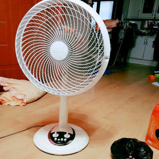 이영실님이 올린 리뷰 사진 4