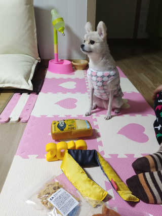 고가을님이 올린 리뷰 사진 3