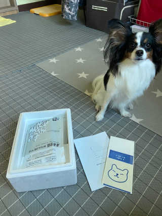 [어글어글] 반려견 친환경 간식 9종 세트 — 5점을 준 리뷰어가 2020년 3월 올린 사용 사진