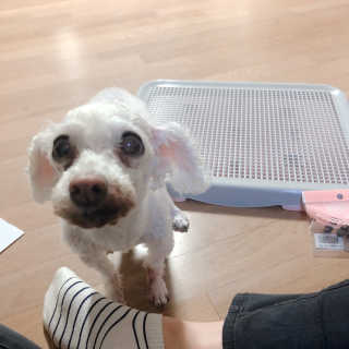 예삐쭁쭁님이 올린 리뷰 사진 2