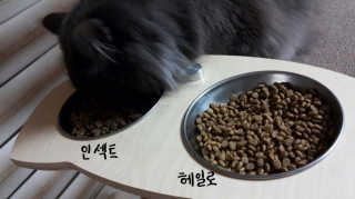 박지선님이 올린 리뷰 사진 2