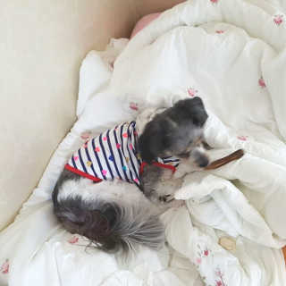 은초님이 올린 리뷰 사진 2